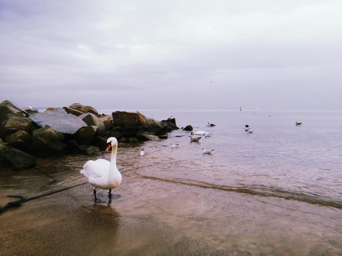 Jola Gdynia